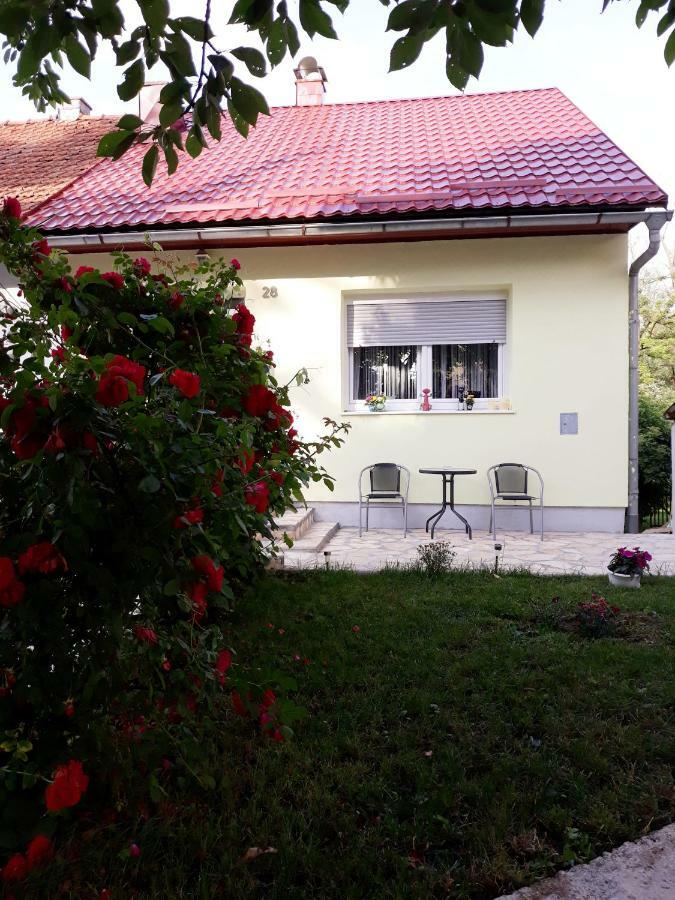 Gospic Riverside Apartment 外观 照片